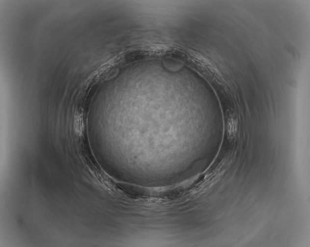 X0000114421204200910161221