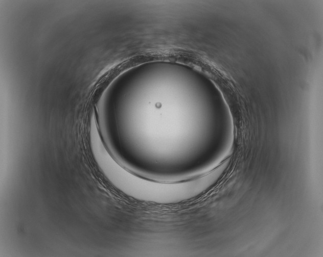 X0000114421206200910161221