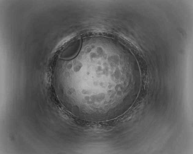X0000114421207200910161221