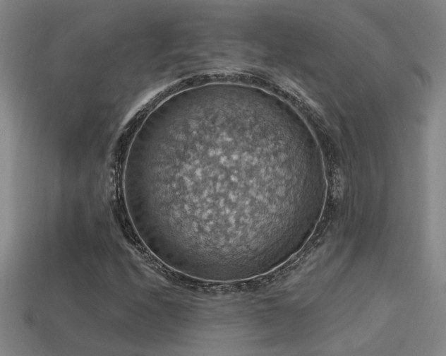 X0000114421208200910161221