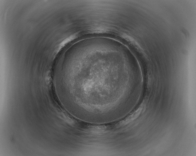 X0000114421210200910161221