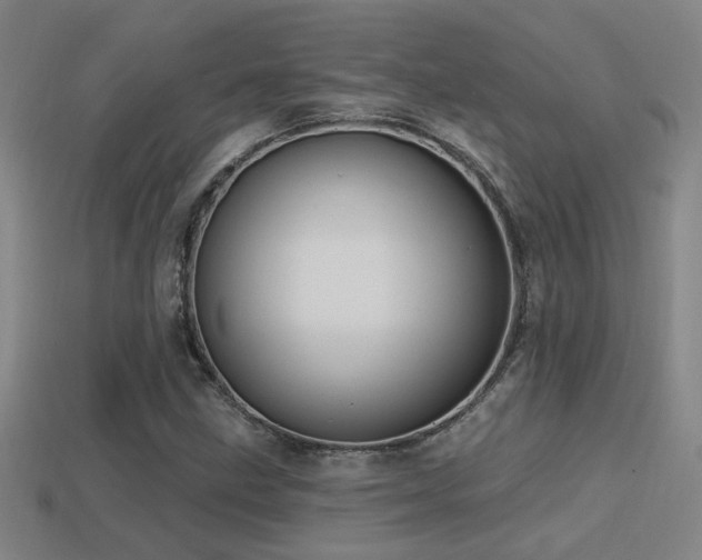 X0000114421211200910161221