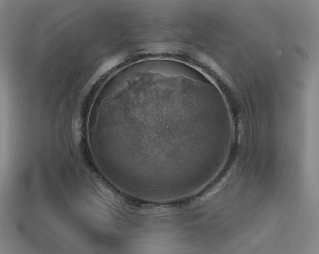 X0000114421213200910161221