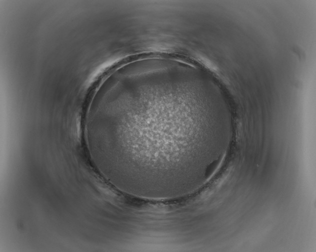X0000114421214200910161221