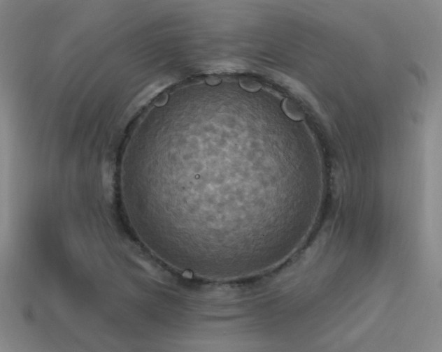 X0000114421217200910161221