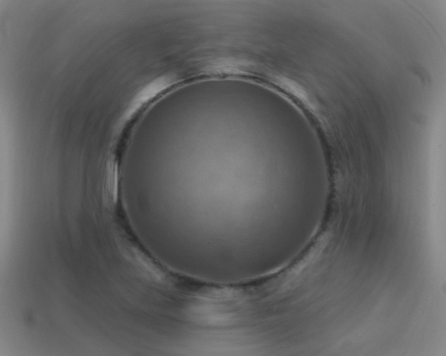 X0000114421219200910161221