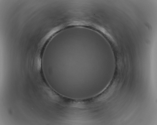 X0000114421221200910161221