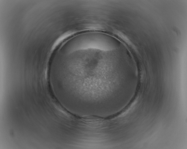 X0000114421222200910161221