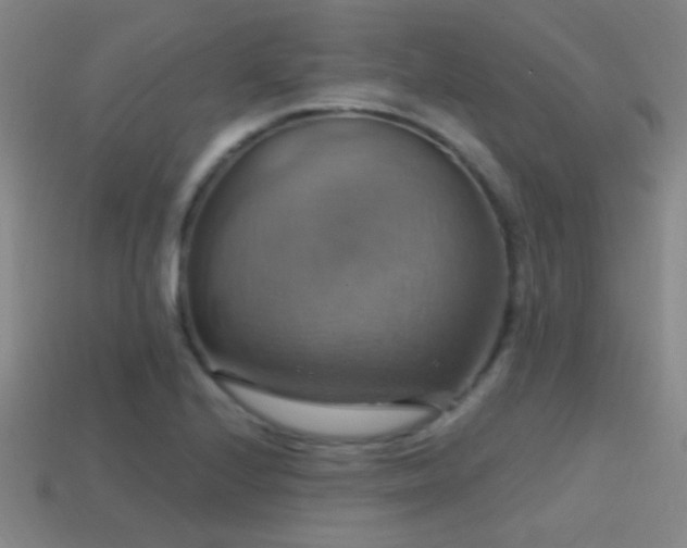 X0000114421224200910161221