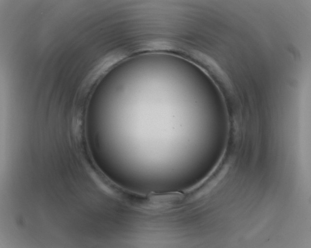 X0000114421225200910161221