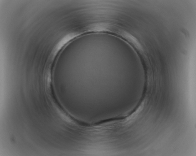 X0000114421226200910161221