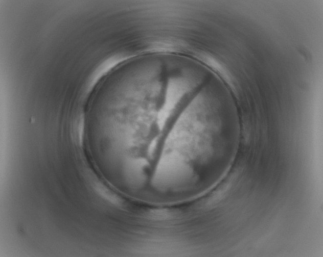 X0000114421227200910161221