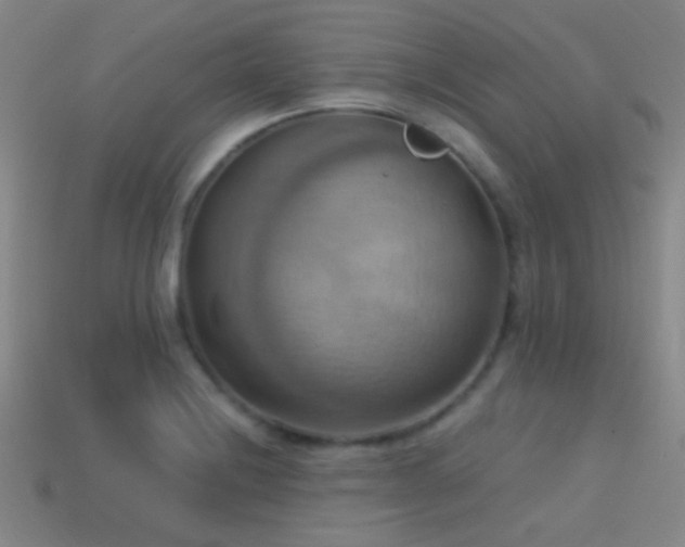 X0000114421228200910161221