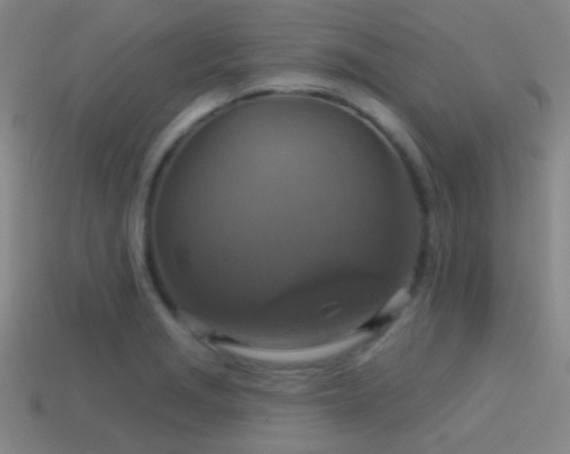 X0000114421229200910161221