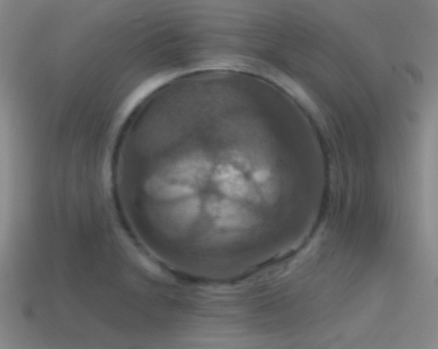 X0000114421230200910161221