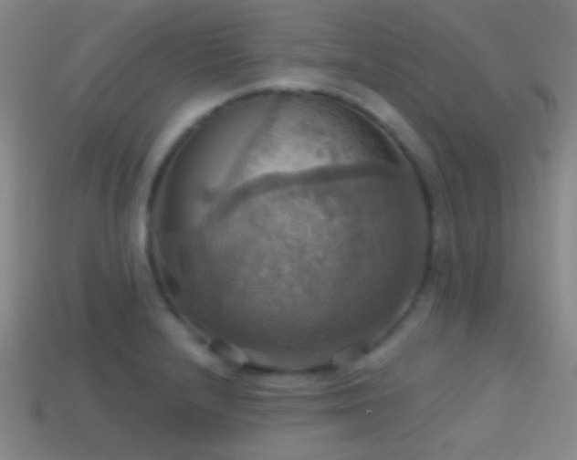 X0000114421232200910161221