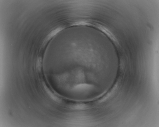X0000114421233200910161221