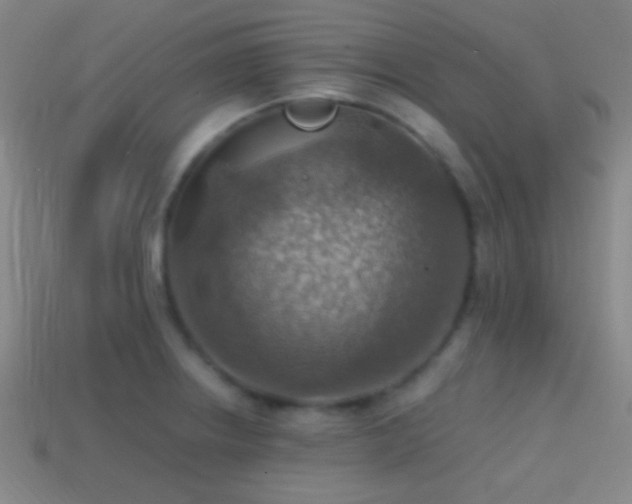 X0000114421234200910161221