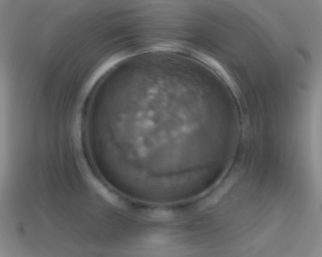 X0000114421235200910161221
