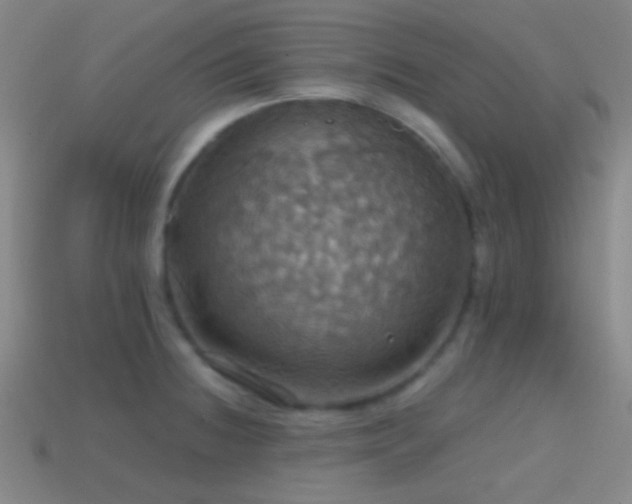 X0000114421236200910161221