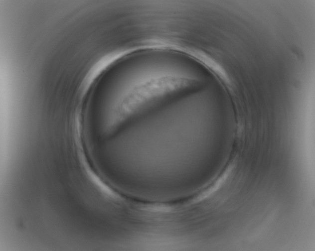 X0000114421239200910161221