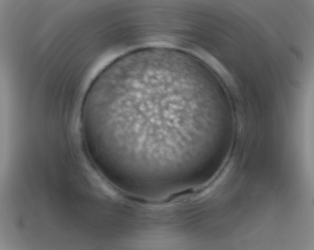 X0000114421240200910161221