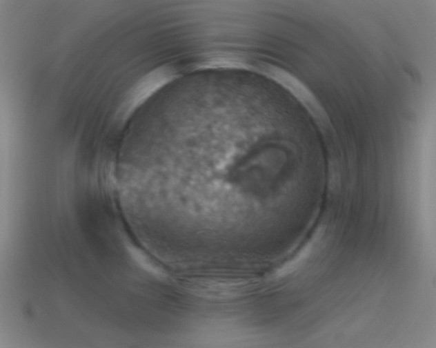 X0000114421241200910161221