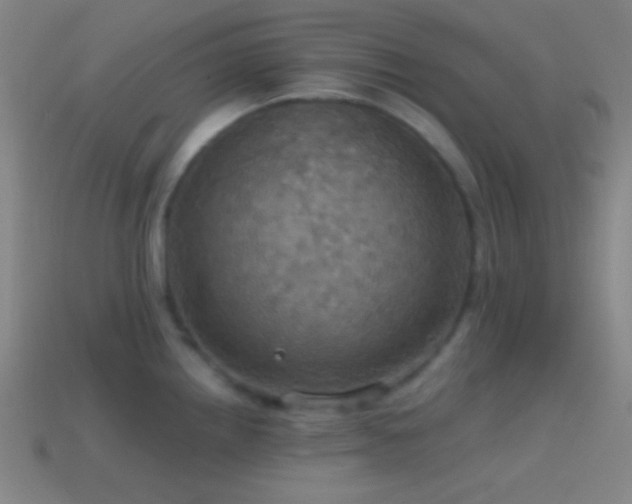 X0000114421242200910161221