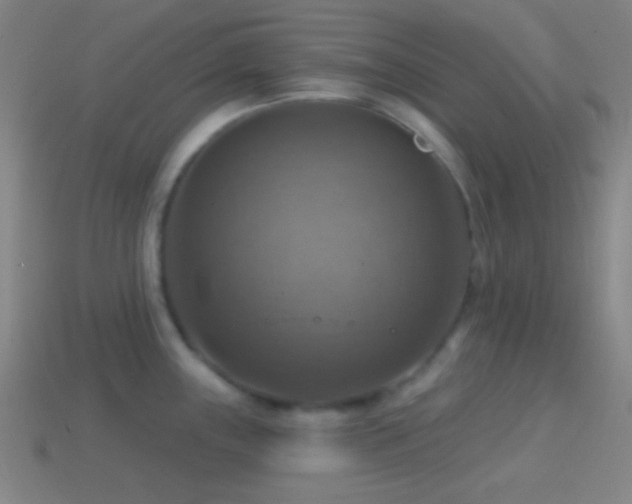 X0000114421243200910161221