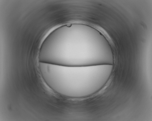 X0000114421244200910161221