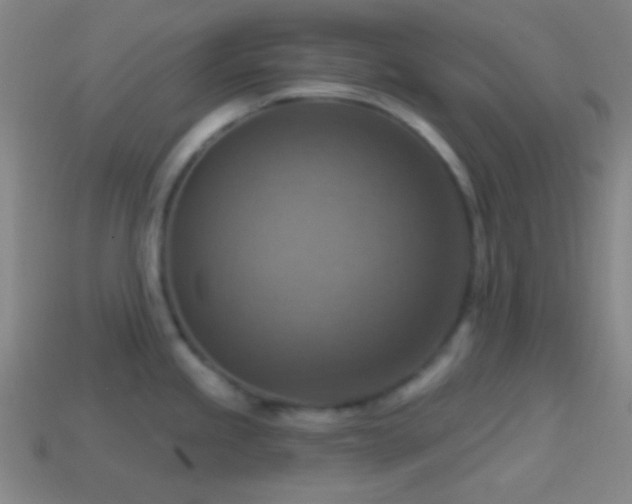 X0000114421245200910161221