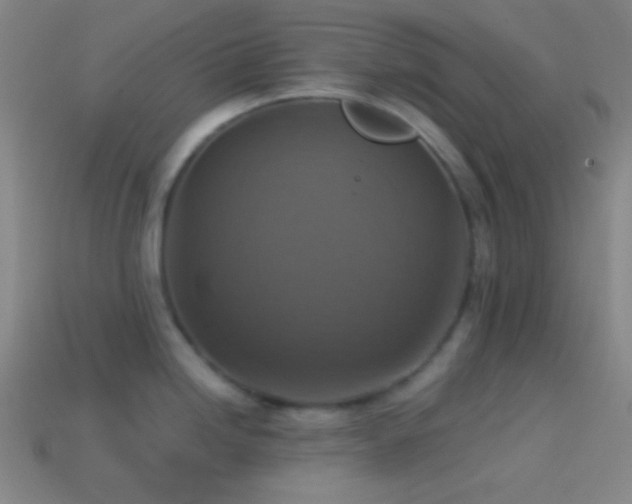 X0000114421246200910161221