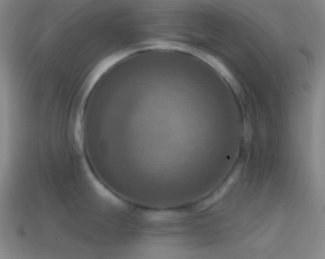 X0000114421247200910161221