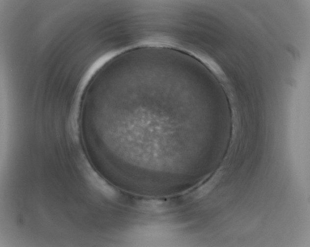 X0000114421248200910161221