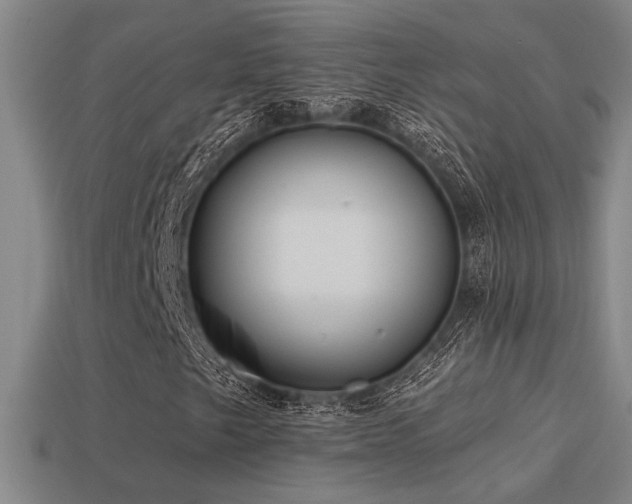 X0000114421249200910161221
