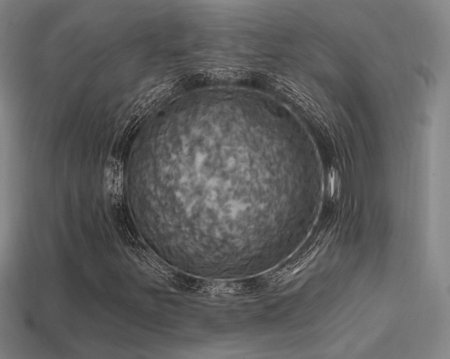 X0000114421251200910161221