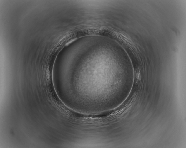 X0000114421252200910161221