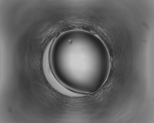 X0000114421253200910161221