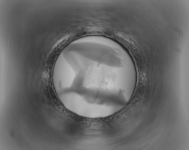 X0000114421254200910161221