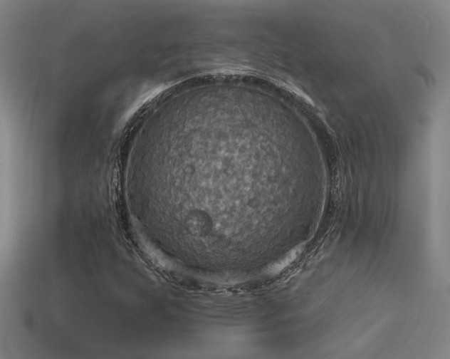 X0000114421255200910161221