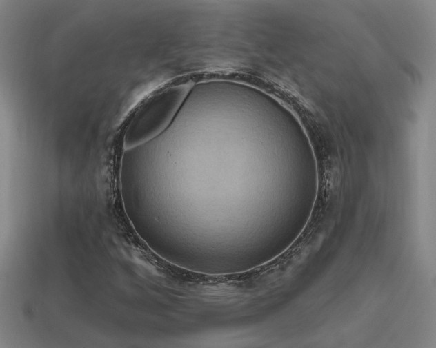 X0000114421256200910161220