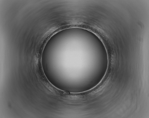 X0000114421257200910161220