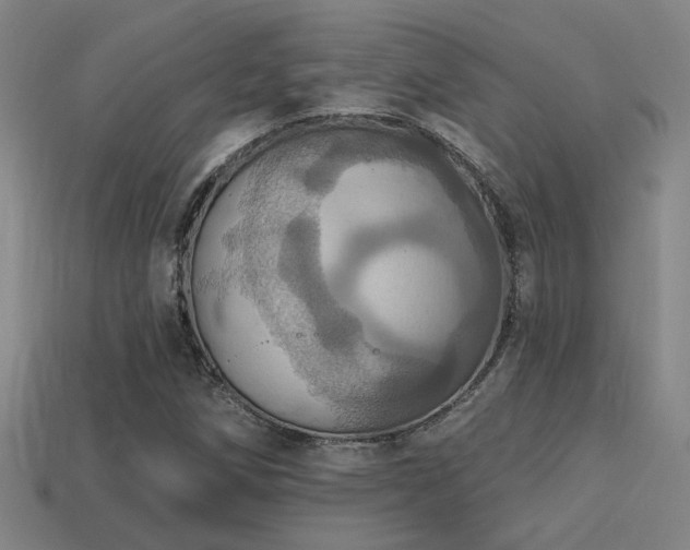 X0000114421258200910161220