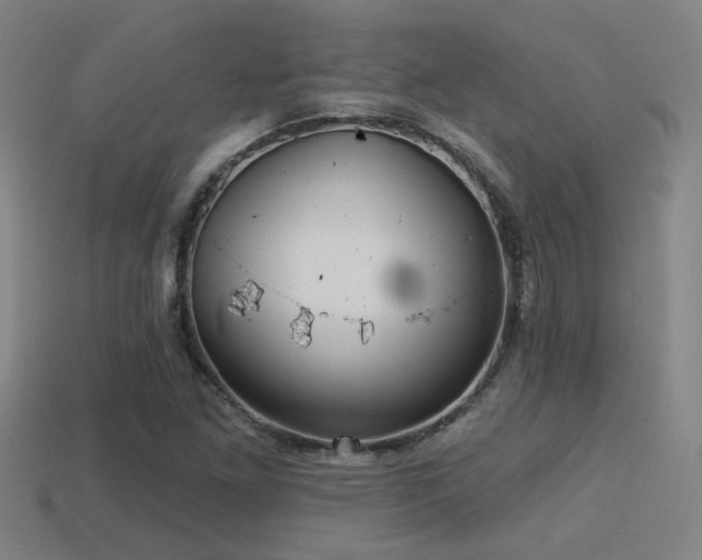 X0000114421261200910161220