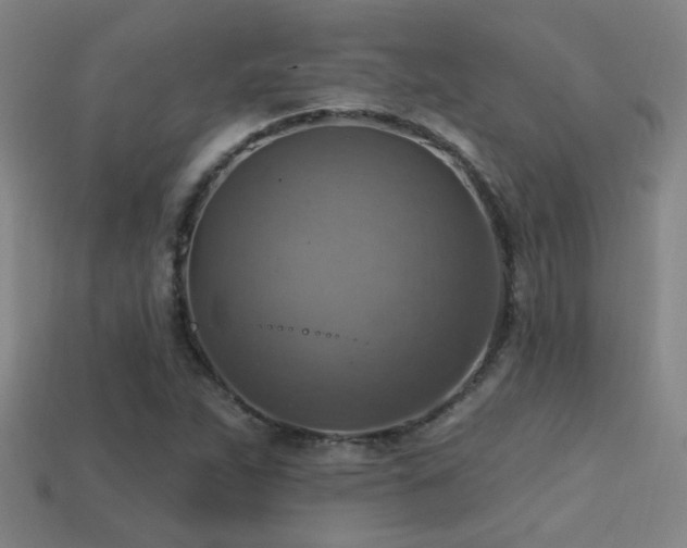 X0000114421263200910161220