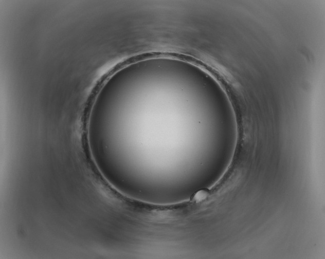 X0000114421264200910161220