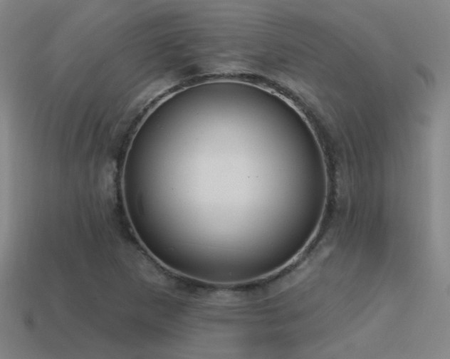 X0000114421265200910161220