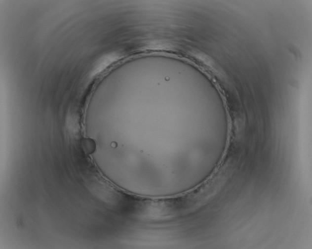 X0000114421266200910161220
