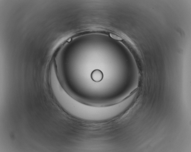 X0000114421269200910161220