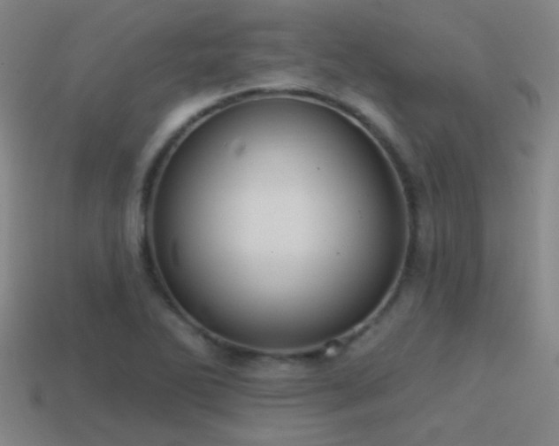 X0000114421270200910161220